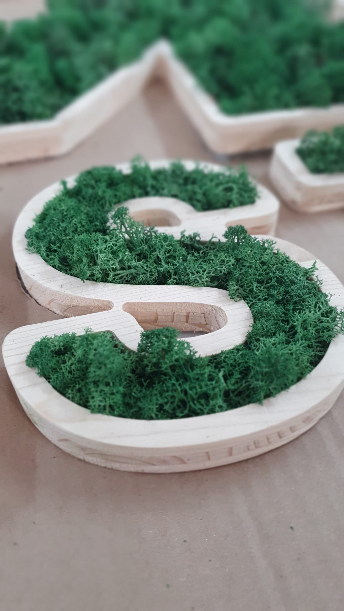 Lettre végétale en bois naturel garnie de lichen stabilisé vert
