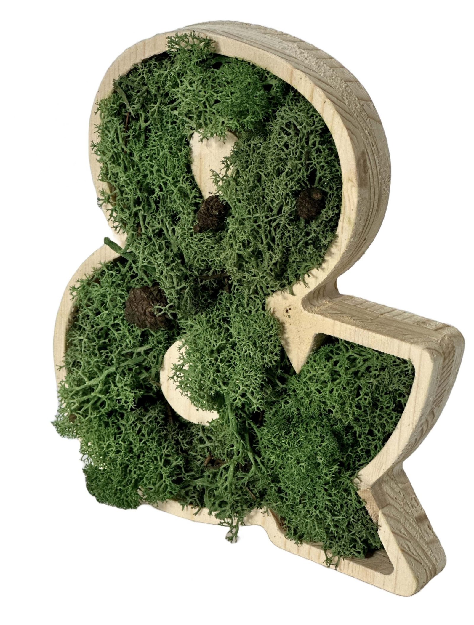 Logo végétal en bois et lichen stabilisé fabriqué sur mesure dans les ateliers Publi Meni
