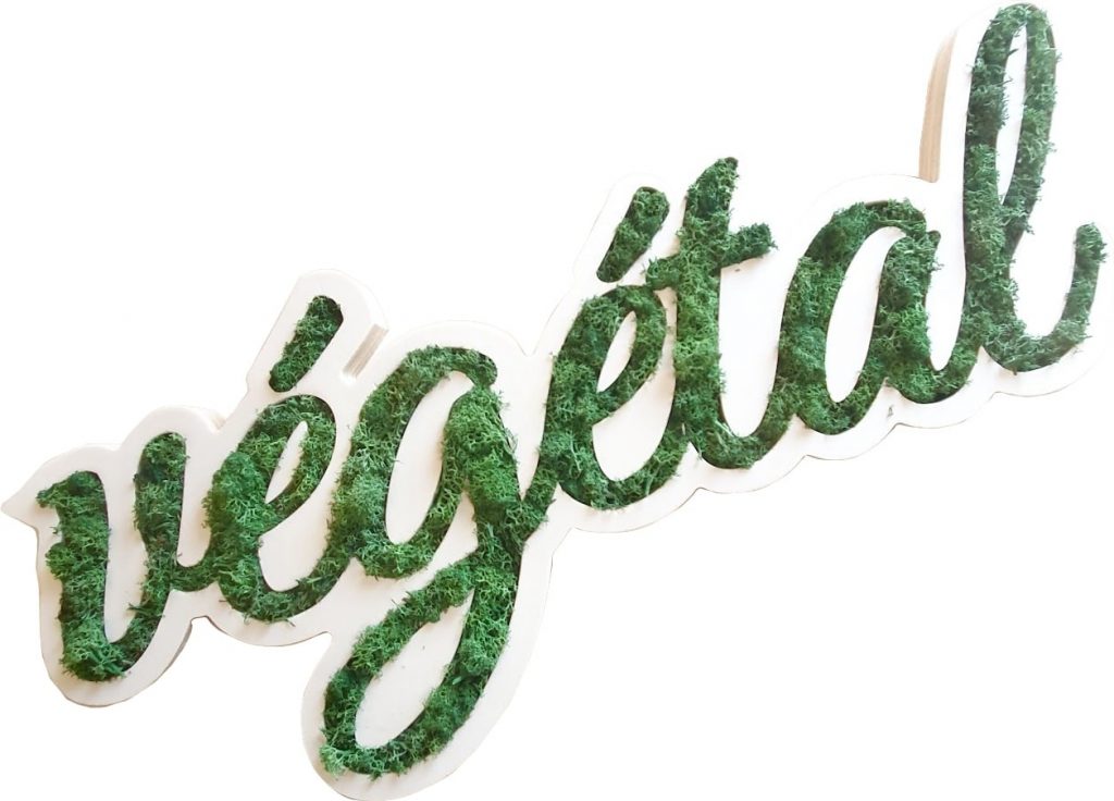 végétal-min logo végétal en bois et lichen